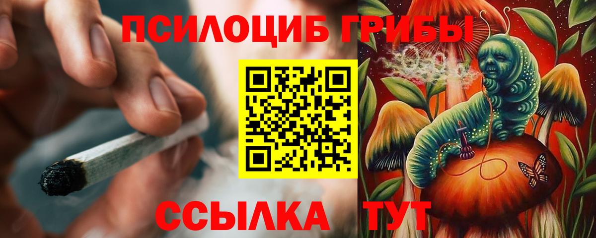 Пыть-Ях  продажа наркотиков  Псилоцибиновые грибы прущие грибы  Вход с VPN  Псилоцибиновые грибы MAGIC MUSHROOMS 